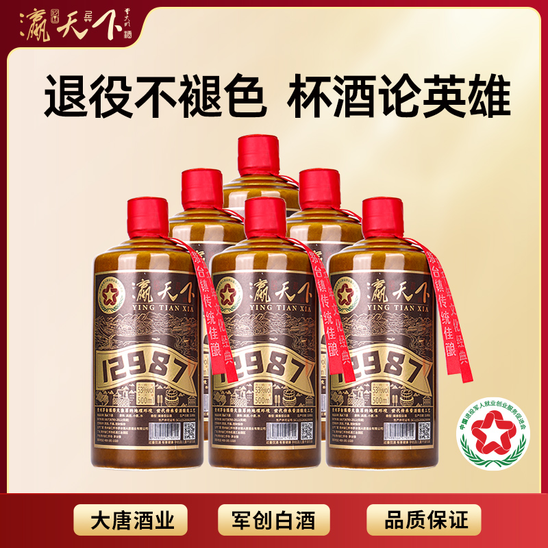 【中国白酒】盈天下（YING TIAN XIA） Ying Tian Xia - Baijiu 